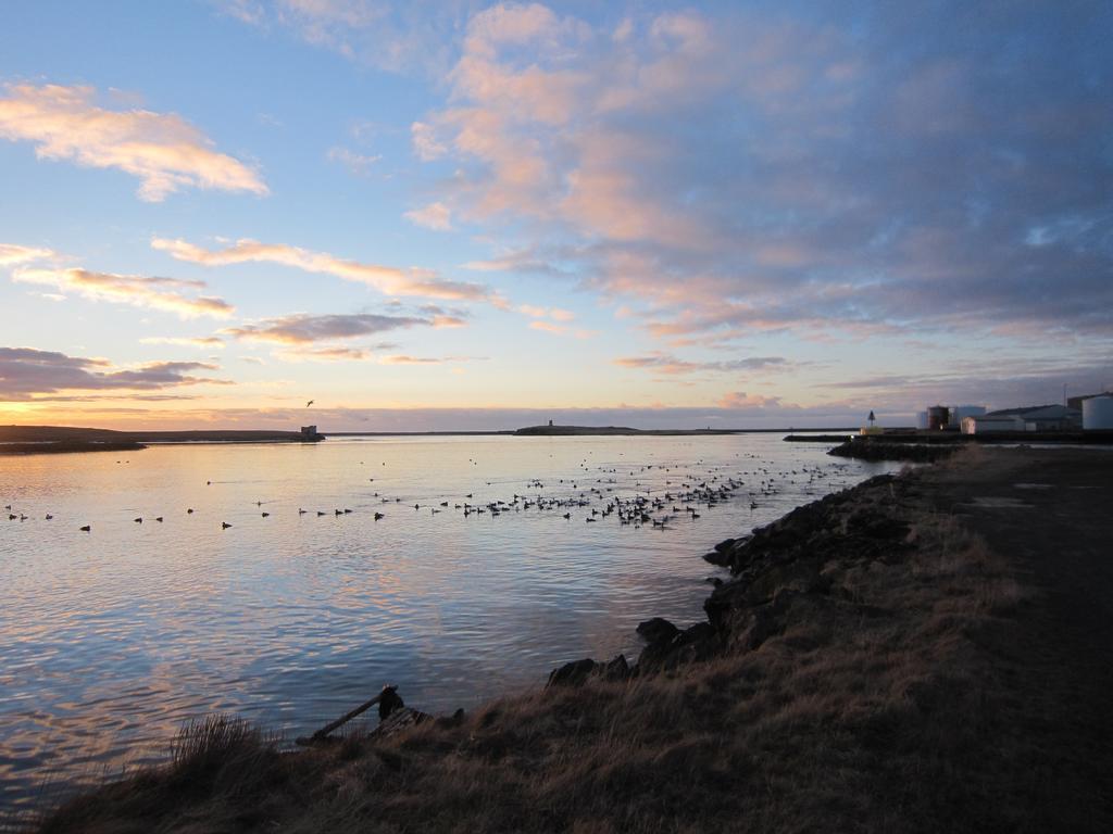 Apartment By The Sea Höfn Buitenkant foto